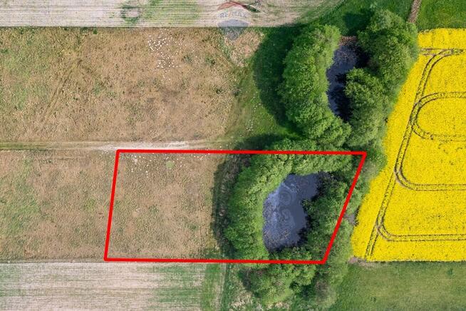 Wiosna, malownicza ze stawem dla miłośników natury