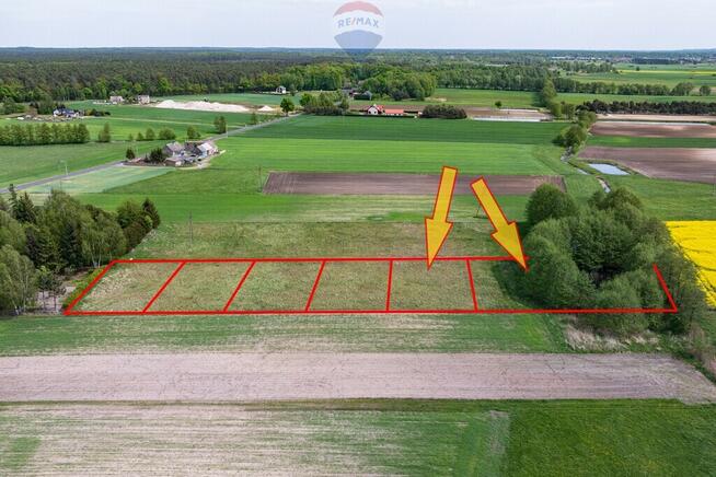 Wiosna, malownicza ze stawem dla miłośników natury