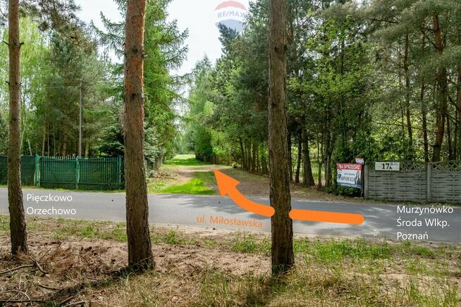 Wiosna, malownicza ze stawem dla miłośników natury