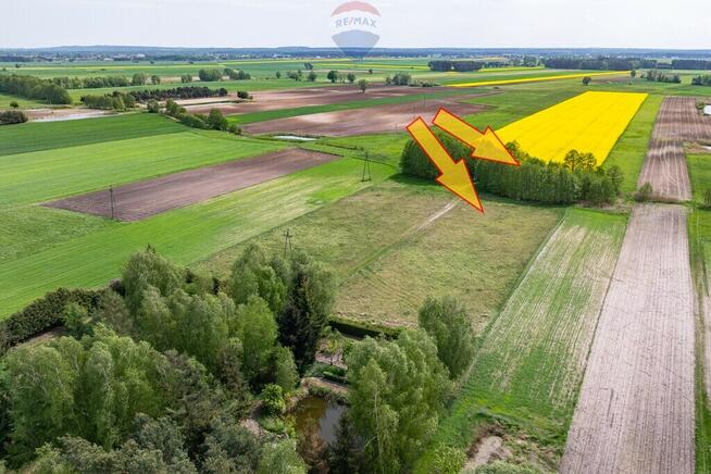 Wiosna, malownicza ze stawem dla miłośników natury