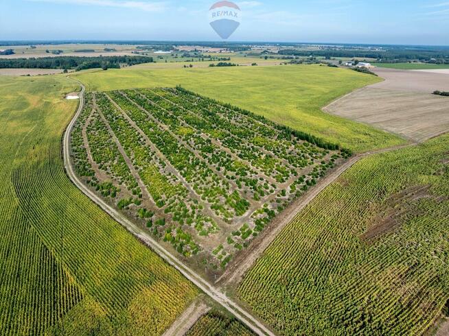 Inwestycyjna rolna działka Łubowice obok Poznania