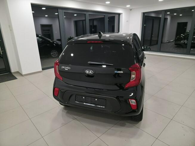 Kia Picanto 1.0/Bezwypadkowy/Serwisowany/Gwarancja roczna w cenie