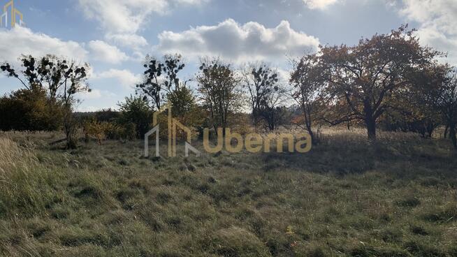 Działka na sprzedaż 2006 m2