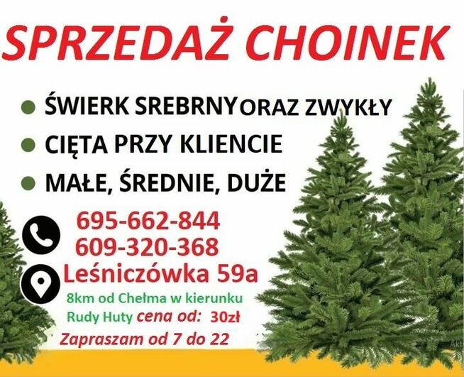 Świerki Choinki Zwykłe Srebrne Drzewko Świąteczne Wigilia