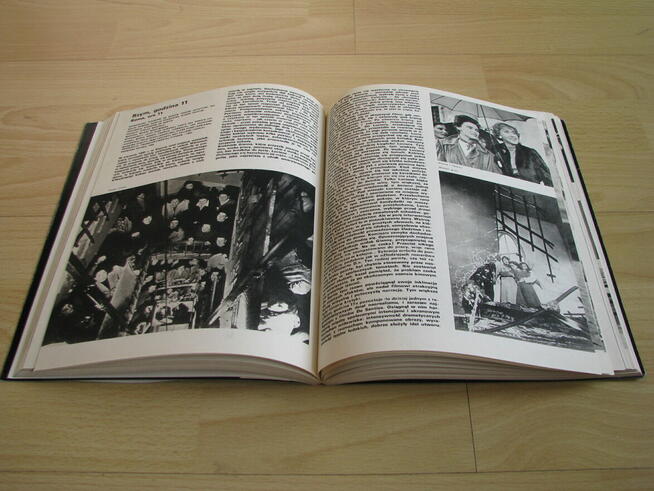 100 filmów włoskich, Hanna Książek-Konicka