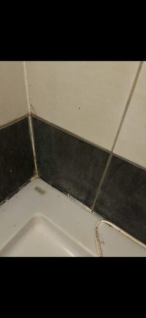 Wymiana silikonu – szybko, czysto, profesjonalnie | Wrocław