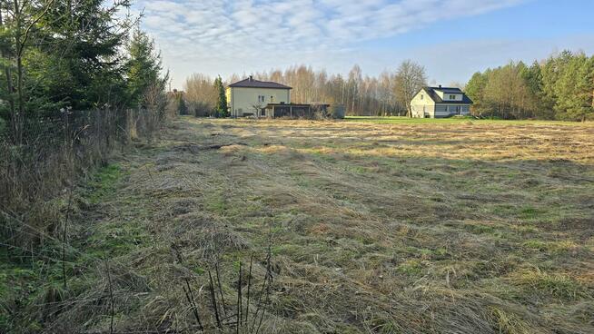 Działka pod budowę domu szeroka długa pod lasem