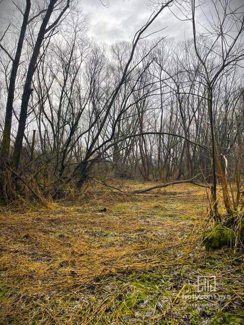 Działka rekreacyjna z dostępem do rzeki 1,1ha - 65.000 zł