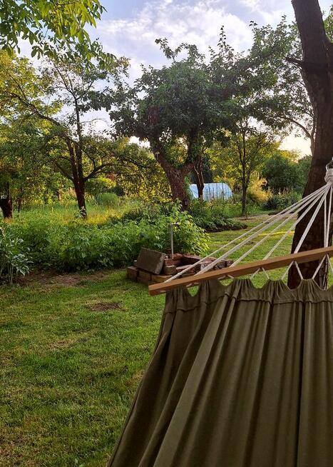 Ogródek działkowy w ROD „Małe Błonia” w Krakowie