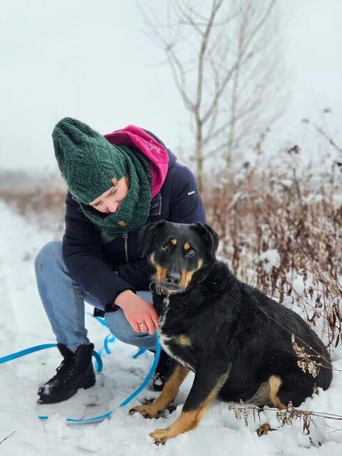 Adoptuj IRIS - pokochasz ją