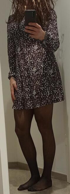 Ja CD/cross szukam trans/CD/cross/tv