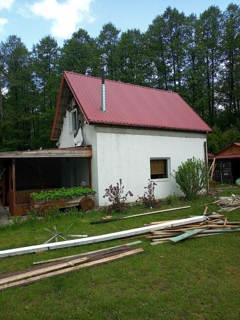 Usługi ciesielsko- dekarskie