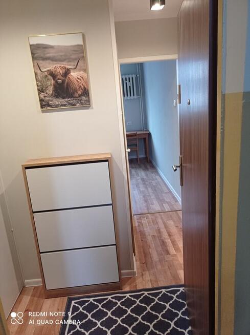 Kawalerka do wynajęcia w centrum miasta-1300 zł