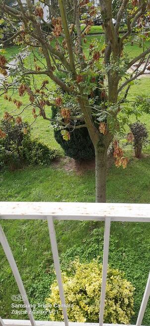 sprzedam 4 pokojowe mieszkanie w atrakcyjnej lokalizacji