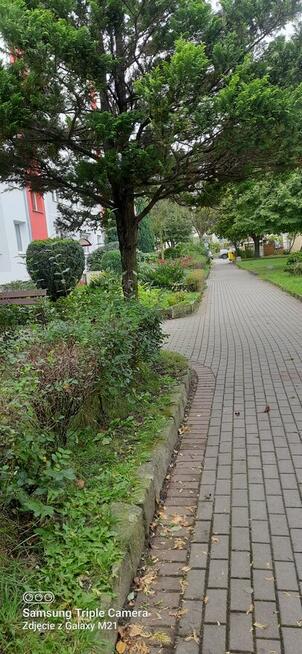 sprzedam 4 pokojowe mieszkanie w atrakcyjnej lokalizacji