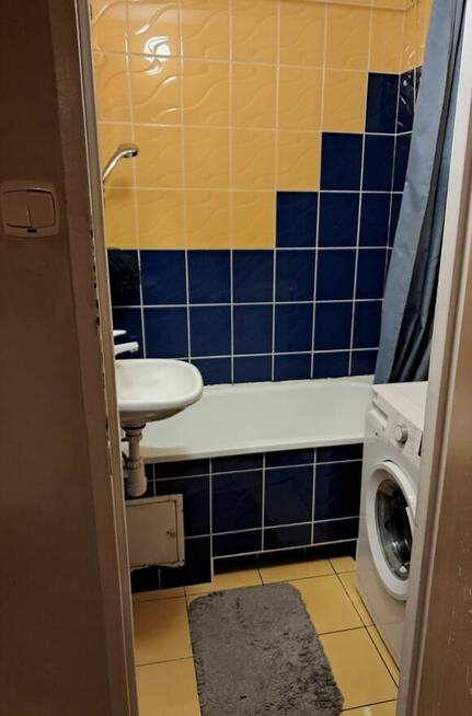 Mieszkanie do wynajęcia