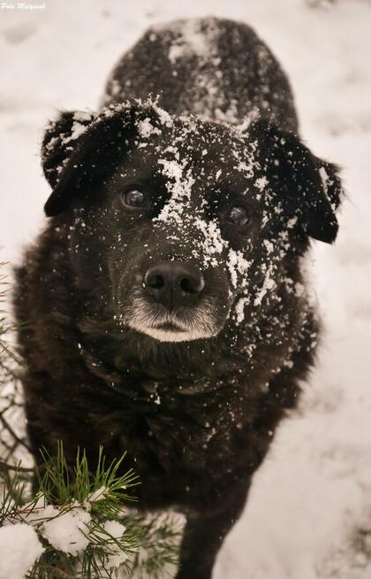 W 2019 roku Bratek został złapany na polu razem z trzema