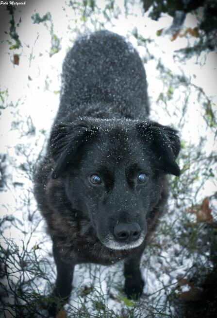 W 2019 roku Bratek został złapany na polu razem z trzema