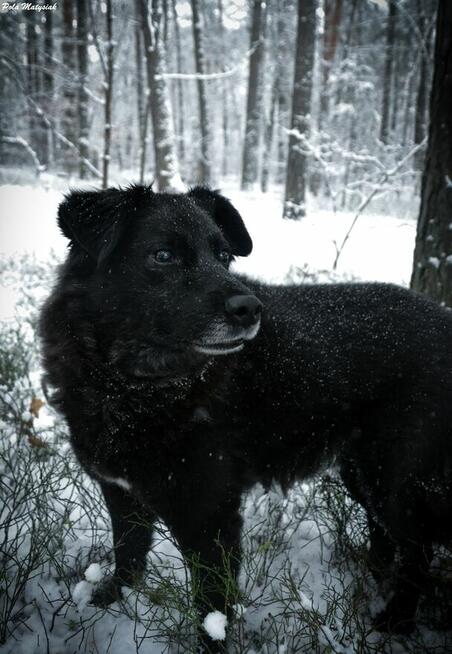 W 2019 roku Bratek został złapany na polu razem z trzema