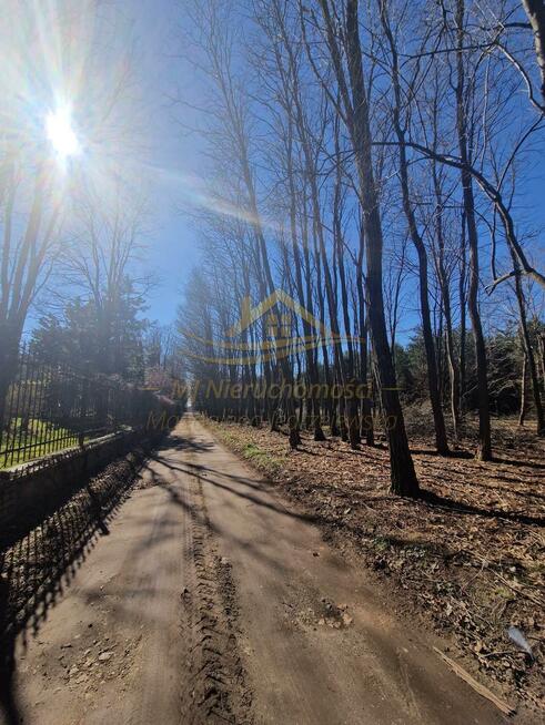 Działka rolna Żabia Wola, św. Anny