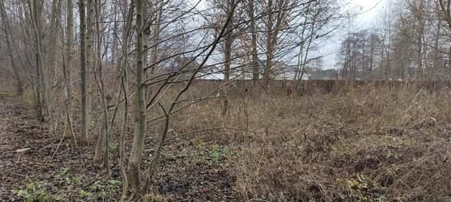 Działka budowlana Nowa Wieś gm. Serock, Topolowa