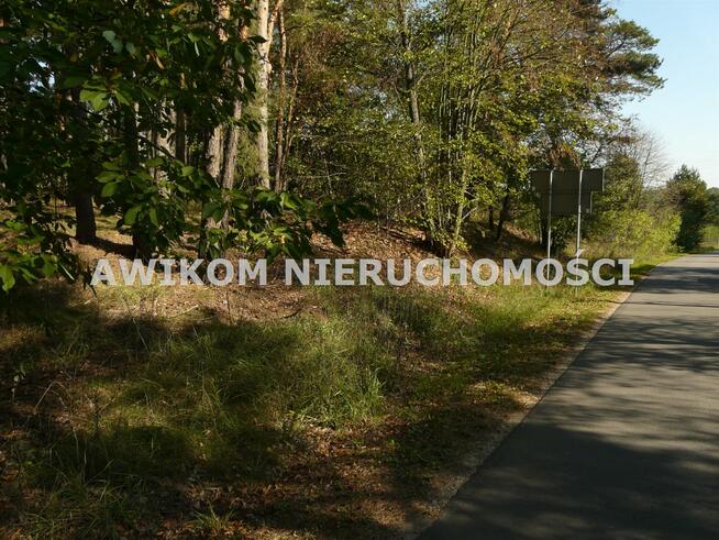 Działka leśna Rawa Mazowiecka Przewodowice