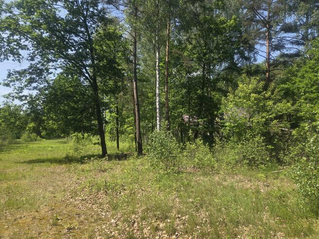 Działka budowlana Wiązowna