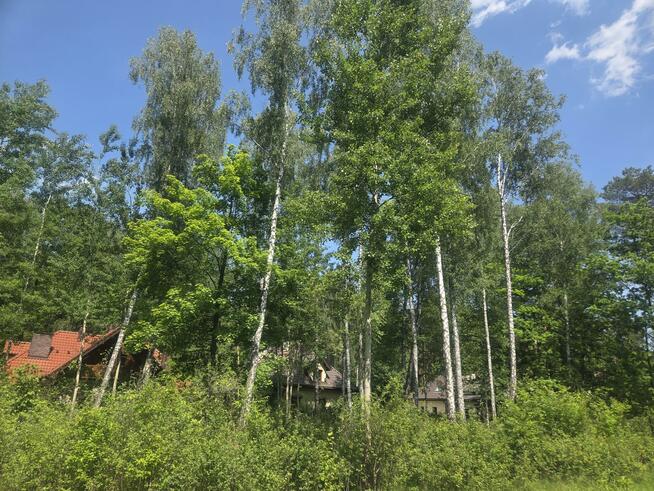 Działka budowlana Wiązowna