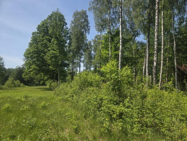 Działka budowlana Wiązowna