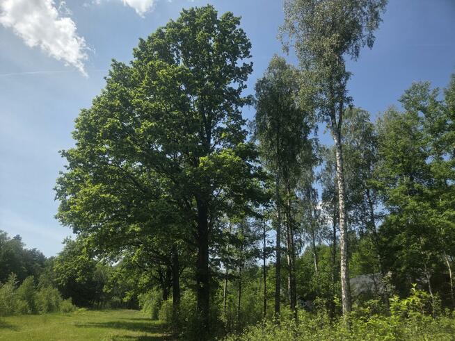 Działka budowlana Wiązowna