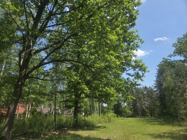 Działka budowlana Wiązowna