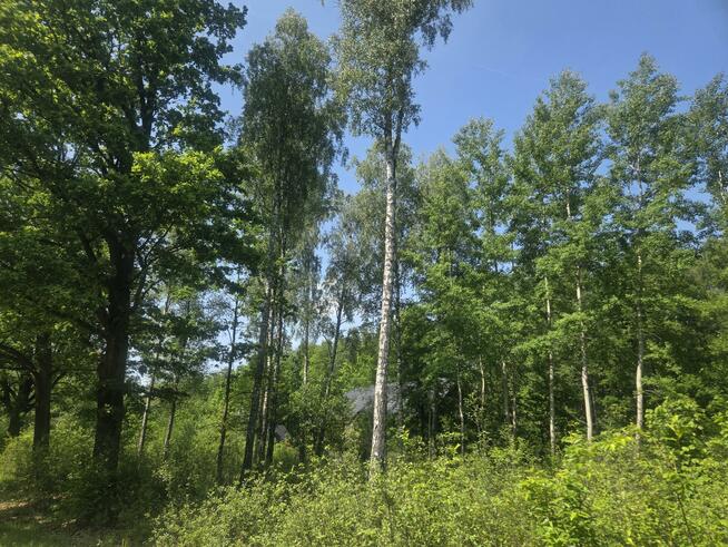 Działka budowlana Wiązowna