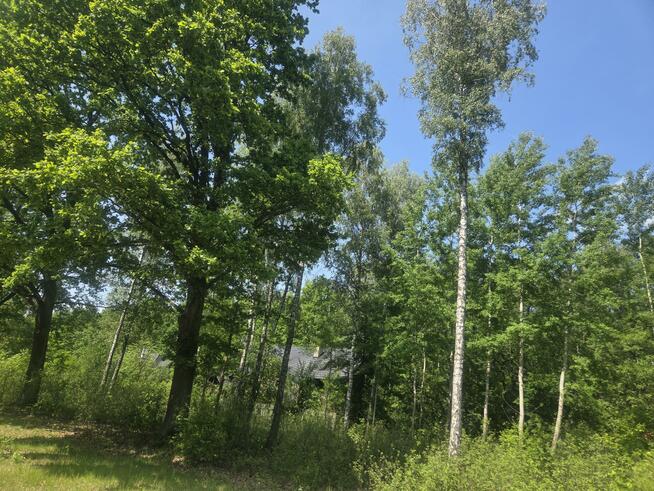 Działka budowlana Wiązowna