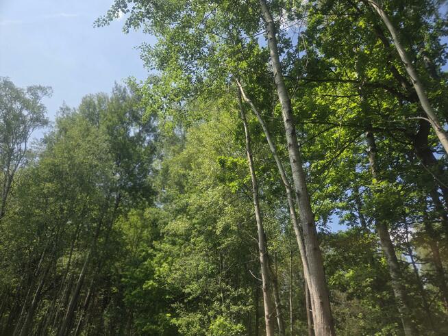 Działka budowlana Wiązowna