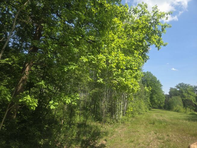 Działka budowlana Wiązowna