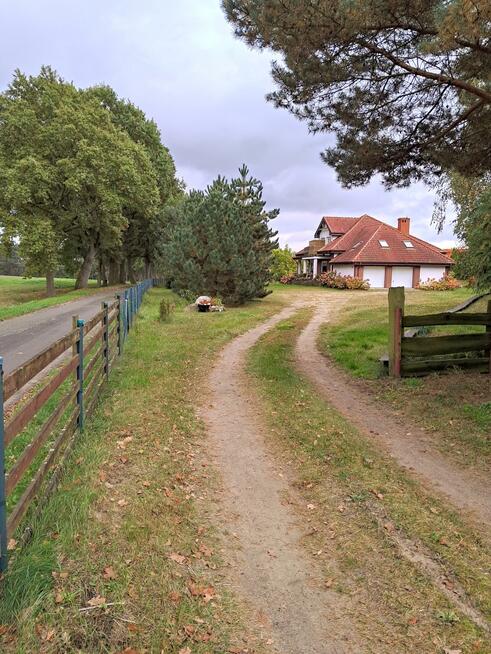 Dom Potrzanowo gm. Skoki