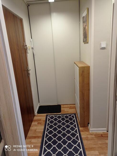 Kawalerka do wynajęcia w centrum miasta-1300 zł