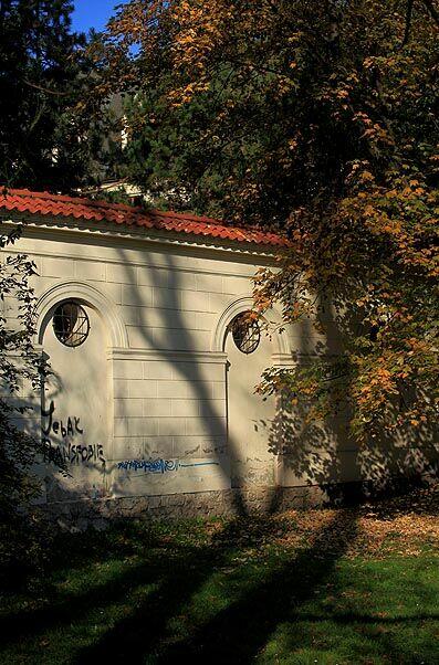 Szukam pracy jako fotograf