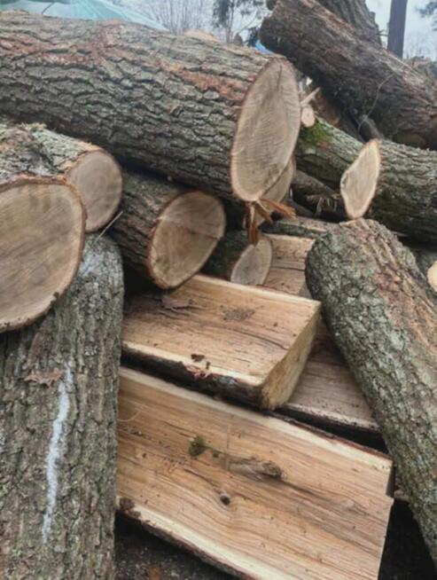 Drzewo opałowe i kominkowe