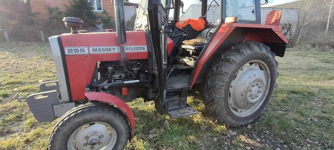 Ferguson MF 255 235 kabina export wspomaganie ursus 3512 281