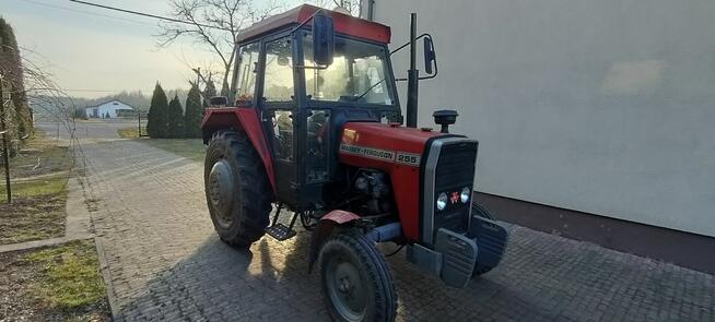 Ferguson MF 255 235 kabina export wspomaganie ursus 3512 281