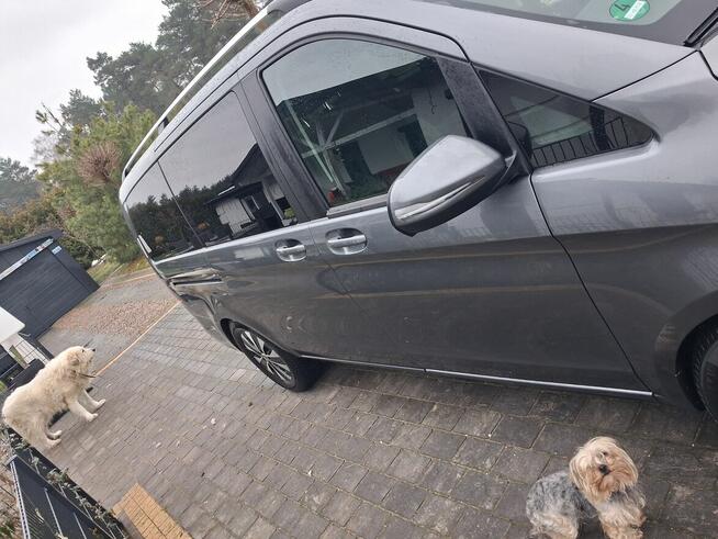 Sprzedam mercedes klasa v250 long DO NEGOCJACJI