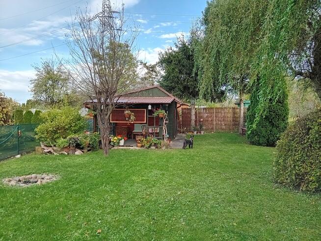 Działka w ROD PRZYSZŁOŚĆ w Rzeszowie