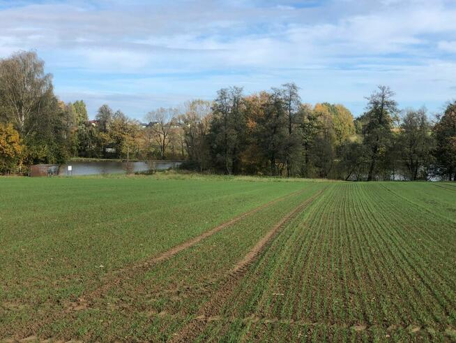 3 działki budowlane – Stara Wieś k. Wilamowic – 140 zł/m²