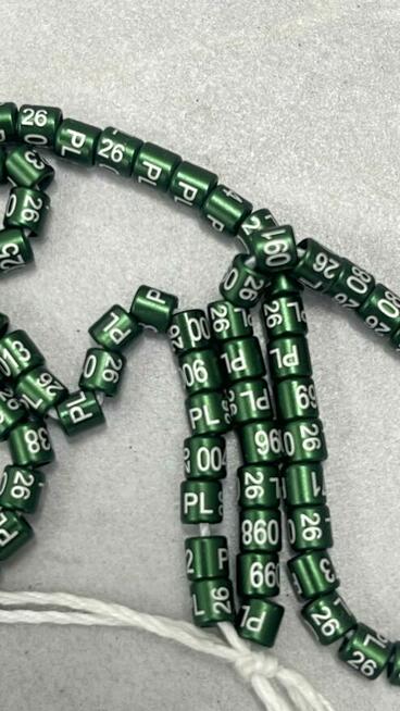 obrączki drobna egzotyka, papugi 2026