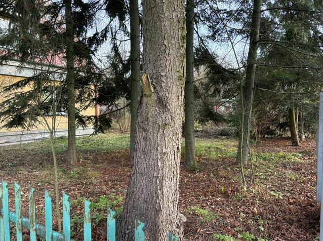 Mieszkanie 79,08 m2 z ogrodem 603 m² w Ostrowi Mazowieckiej