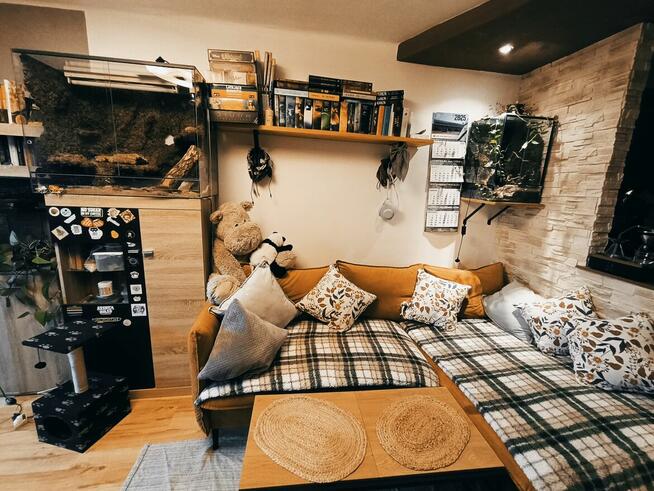 Krowodrza, 2 pokoje, do zamieszkania