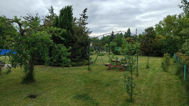 Ogródek działkowy Leszno ROD ul Spółdzielcza