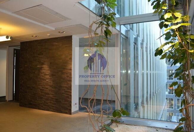 Lokal użytkowy Warszawa Mokotów, Domaniewska