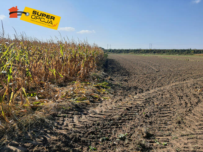 Działka budowlana Kraków gm. Kraków-Nowa Huta Nowa Huta,